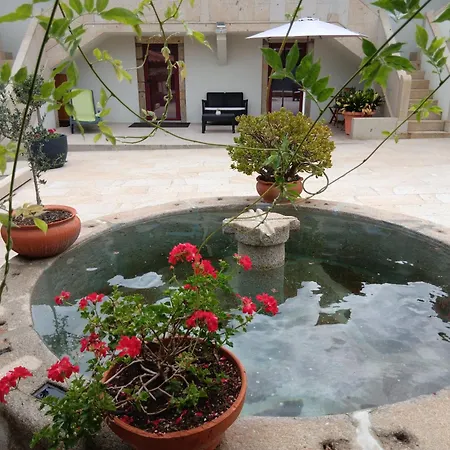 Casa D'artengo פונטה דה לימה