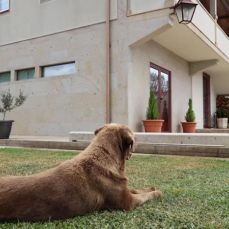 Casa D'artengo Homestay Ponte de Lima