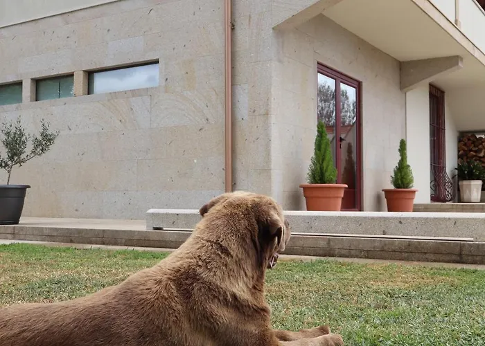 Casa D'artengo 홈스테이 폰테 데 리마